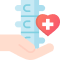 Physiotherapy
